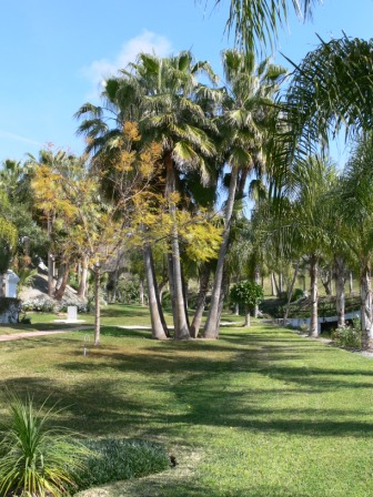 beautiful 1 bedroom apartment is located on the tranquil Oasis de Capistrano