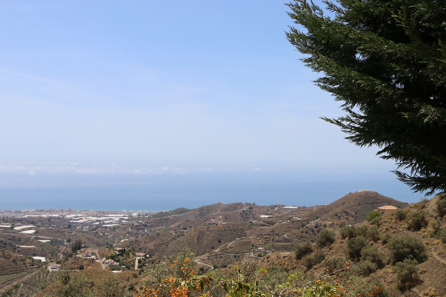 Ce spacieux appartement de luxe est situé sur une Finca avec une grande piscine et un beau jardin et une vue sur la côte.