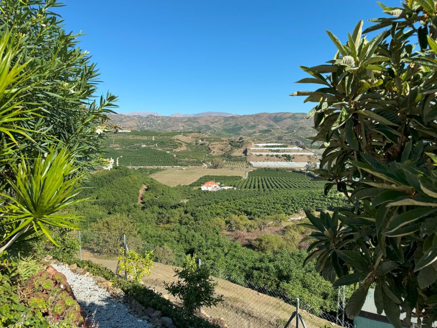 Buone opportunità per gli investitori. 7 monolocali a Vélez-Malaga con piscina e vista sulle montagne.